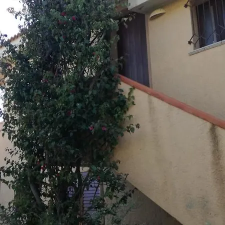 Corallo 335 Gruppo Mascololuxuryapartments *